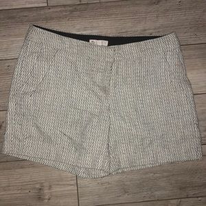 CUTE White & Blue Lila Rose Dress Shorts